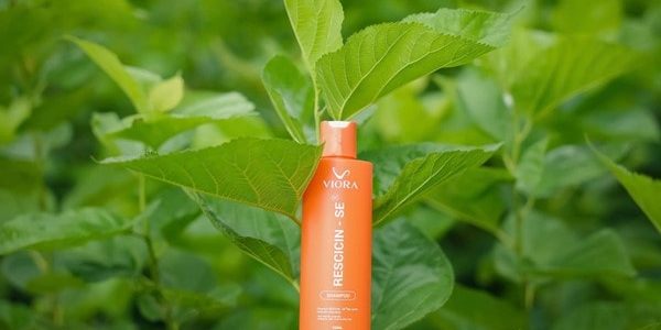 Hành trình của dầu gội Viora chắt lọc tinh hoa từ thiên nhiên