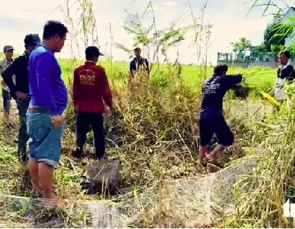 Rủ nhau đi săn chuột đồng vào mùa no lúa miền Tây